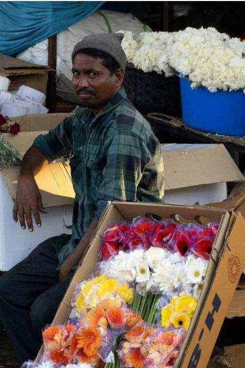 Local grower in greenhouse
