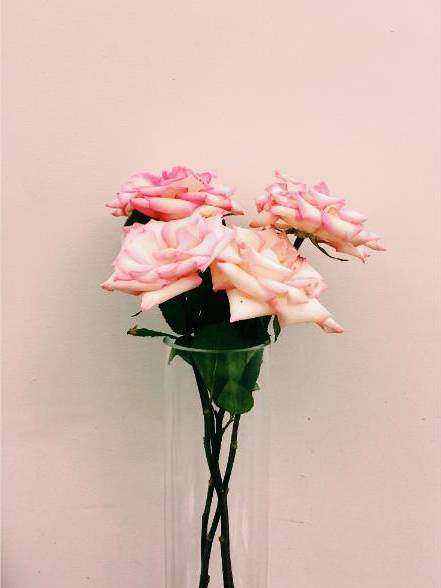 Rose bouquet