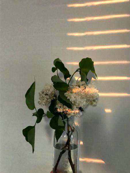 Seasonal native bouquet