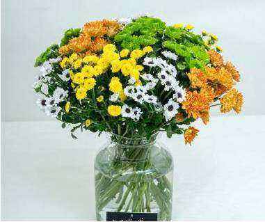 Wrapped corporate gift bouquet