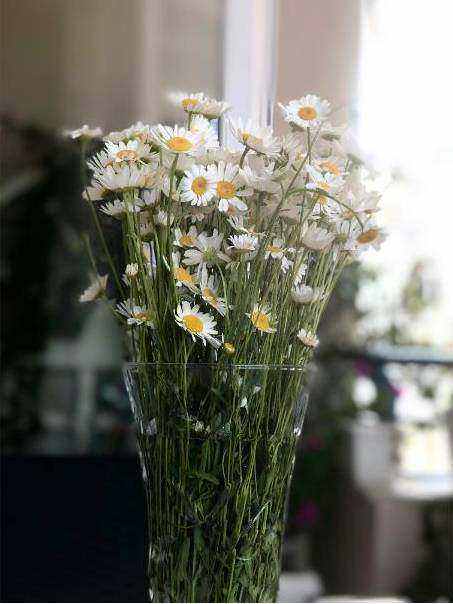 Bright budget bouquet